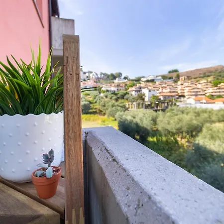 Intero A 56a * Montesilvano Marina